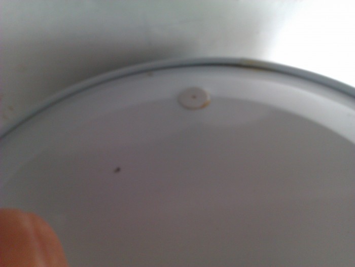 IMAG0270.jpg