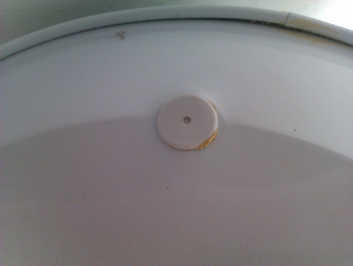 IMAG0271.jpg