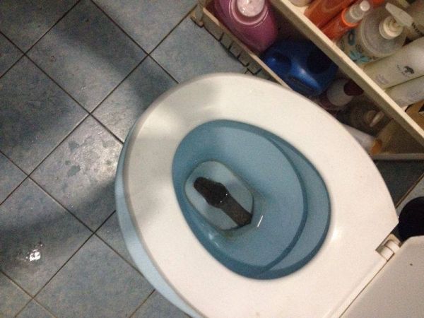 wc_snake_01.jpg