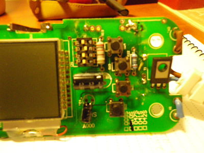 IMGP0672_opt.jpg
