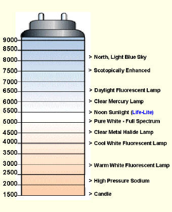 Kelvin%20scale.jpg