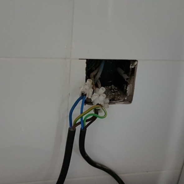 20190315_134247.jpg